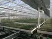 Vertical Growing Racks by Skyplant 4