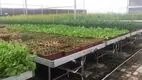 Vertical Growing Racks by Skyplant 6
