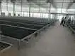 Vertical Growing Racks by Skyplant 7
