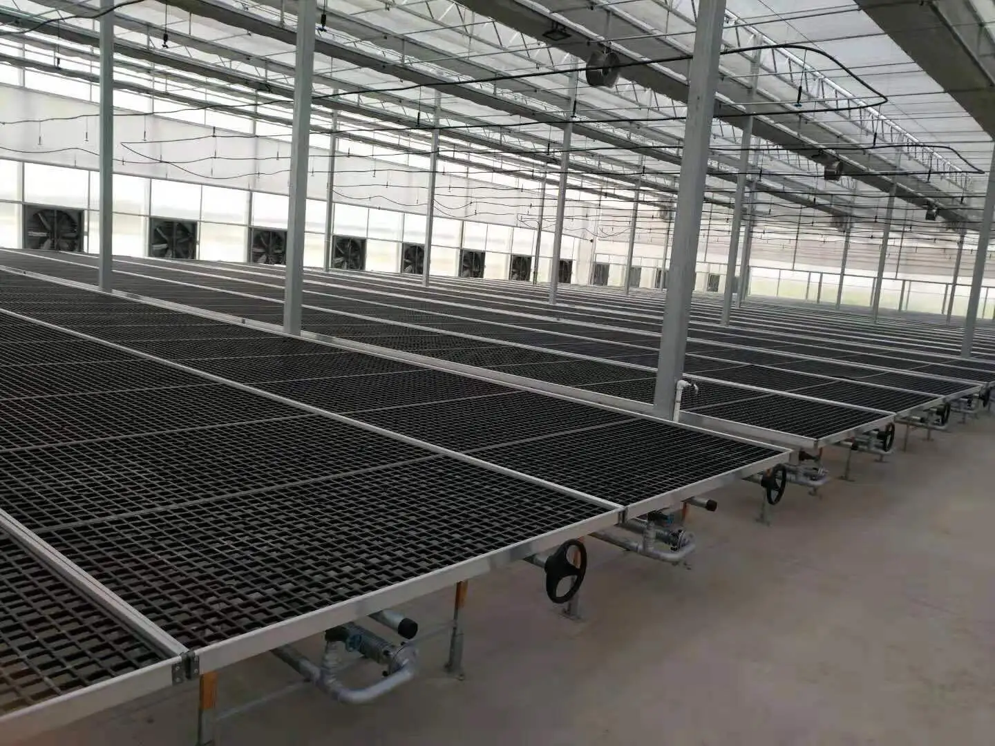 Vertical Growing Racks by Skyplant 8