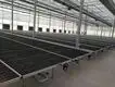 Vertical Growing Racks by Skyplant 8