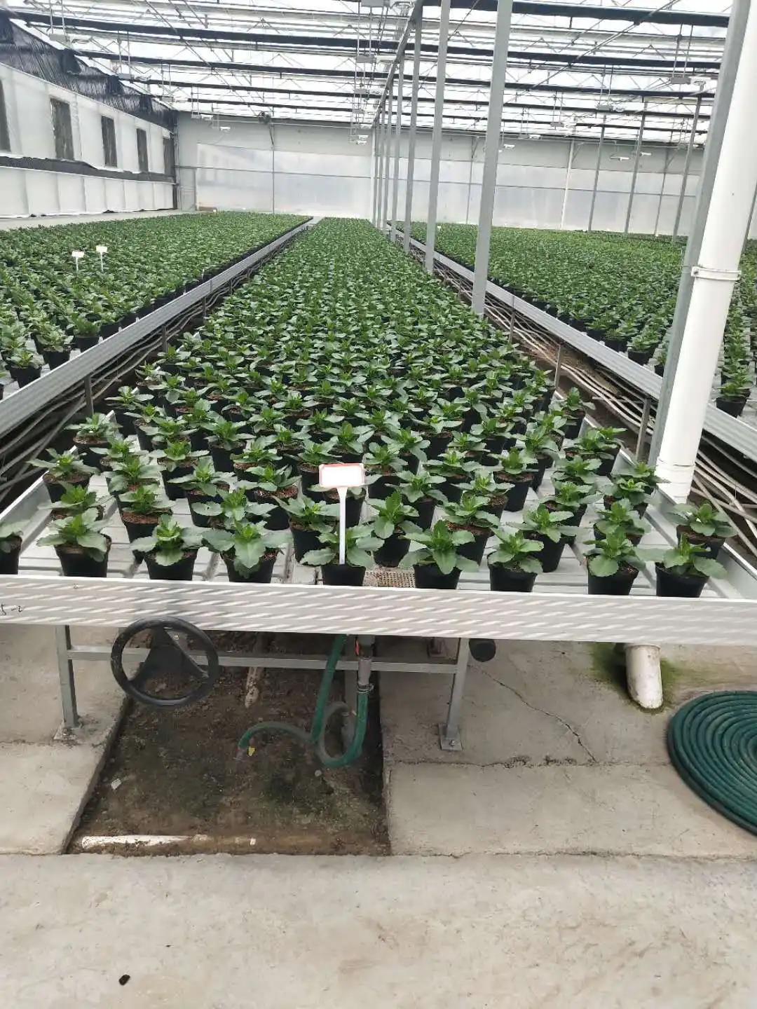 Vertical Growing Racks by Skyplant 9