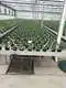 Vertical Growing Racks by Skyplant 9