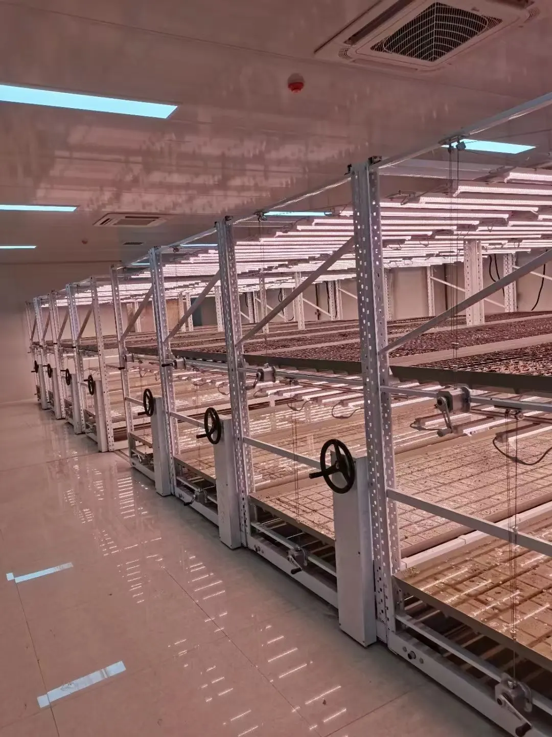 Vertical Growing Racks by Skyplant 11