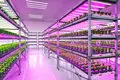 Best Portable Ac for Grow Room by Skyplant 8