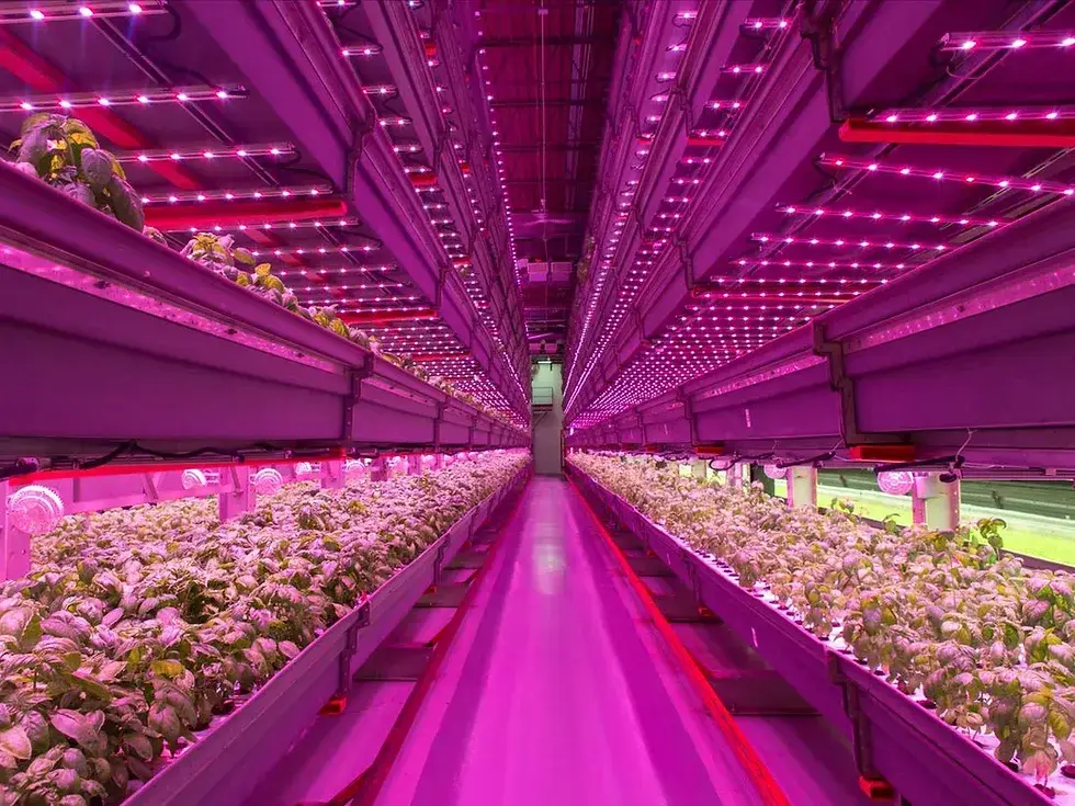 Best Portable Ac for Grow Room by Skyplant 9