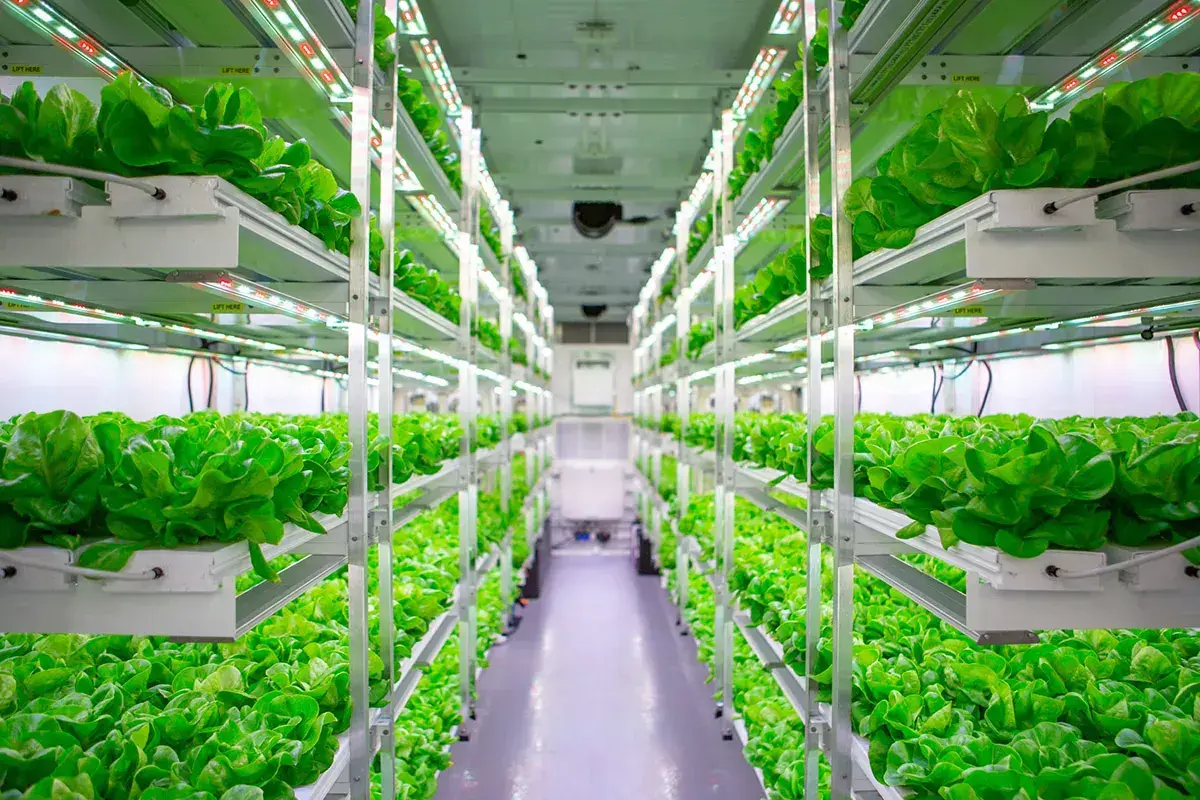 Best Portable Ac for Grow Room by Skyplant 10