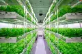 Best Portable Ac for Grow Room by Skyplant 10