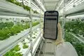 Best Portable Ac for Grow Room by Skyplant 6