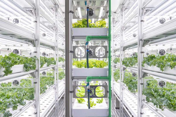 Hidroponic system singlespan greenhouses hydroponics plant system greenhouse hydroponics container Farm 1