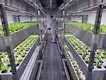 Best Portable Ac for Grow Room by Skyplant 3