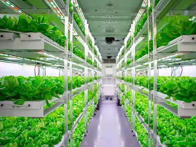 Vertical Growing Racks Cost by Skyplant 9