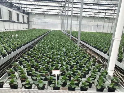 Vertical Growing Racks Cost by Skyplant 5