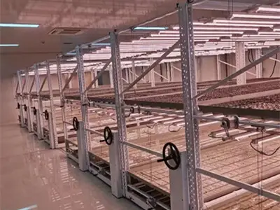 Vertical Growing Racks Cost by Skyplant 4