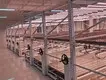 Vertical Growing Racks Cost by Skyplant 4