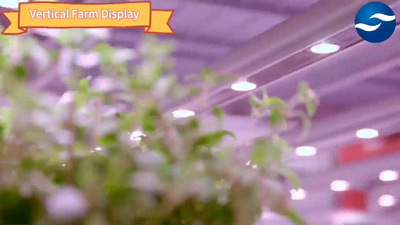 Grow Rack Double Layer Vertical Grow Table Rack Hydroponic Growing System Indoor 1