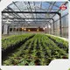 Wholesale Greenhouse Blackout Plastic Skyplant Brand 1