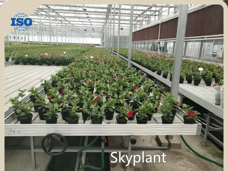 Vertical Growing Racks by Skyplant 1