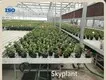Vertical Growing Racks by Skyplant 1
