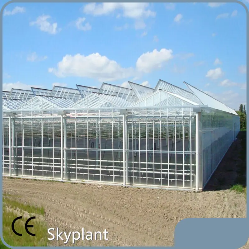 Economical Greenhouse - - Skyplant 1