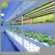 Vertical Growing Racks Cost by Skyplant 1