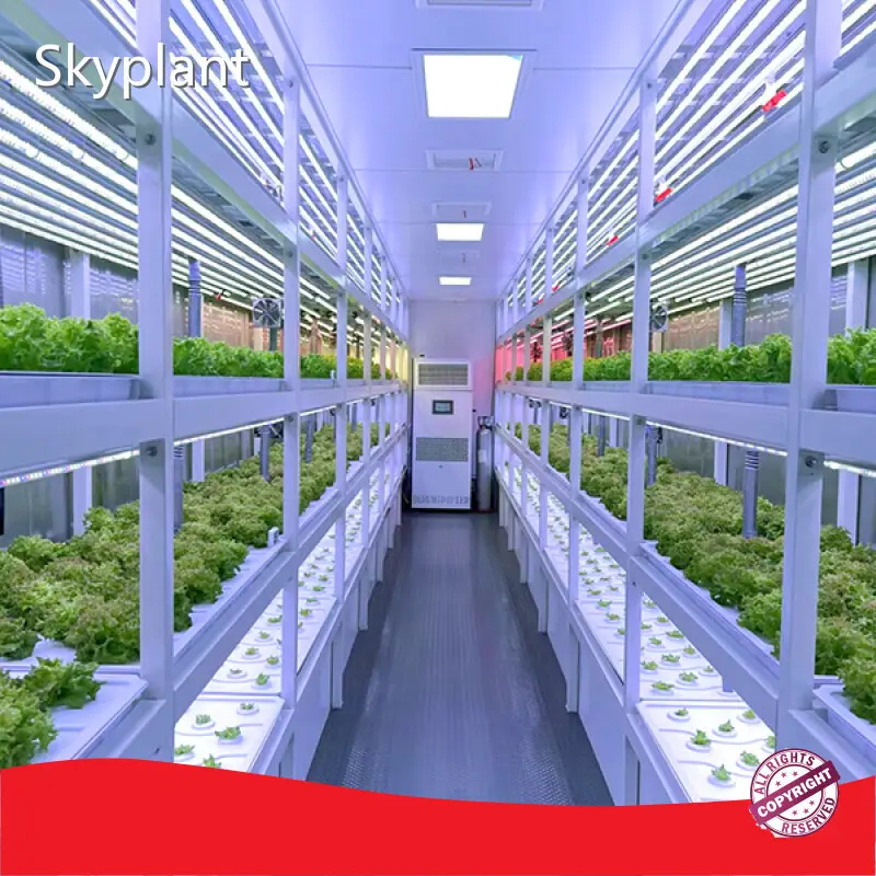 Grow Room Environment Controller by Skyplant 1
