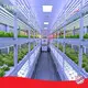 Grow Room Environment Controller by Skyplant 1