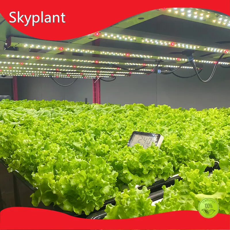 Commercial Grow Room Air Conditioner by Skyplant 1