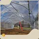 Wind Tunnel Greenhouse by Skyplant 1