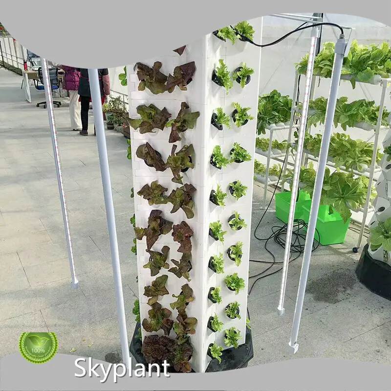 Hydroponic Tower - - Skyplant-1 1