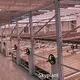 Vertical Grow Racks Cost by Skyplant 1