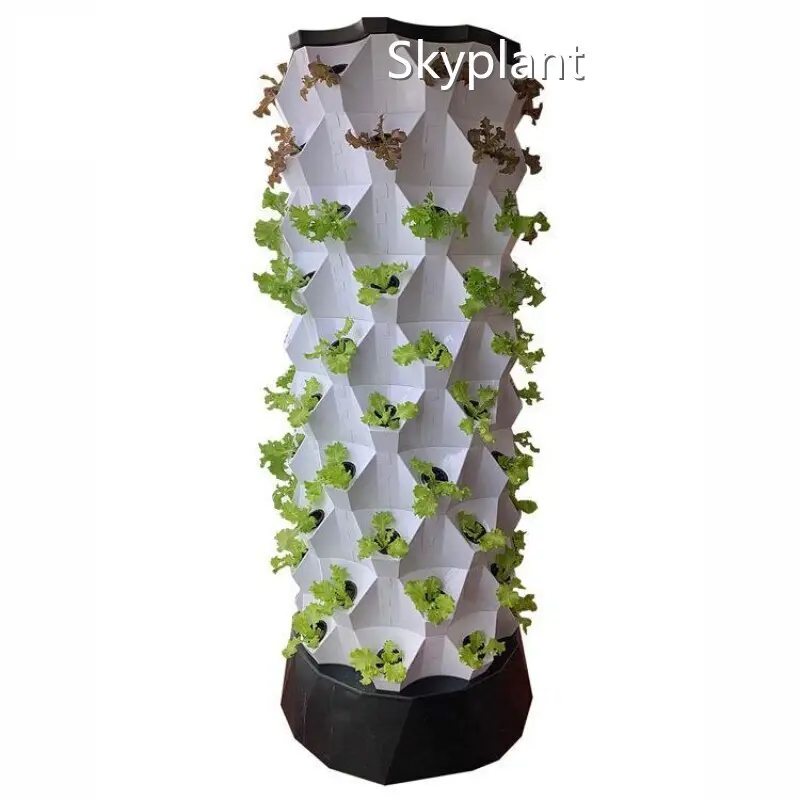 Hydroponic Growth Systems by Skyplant 1