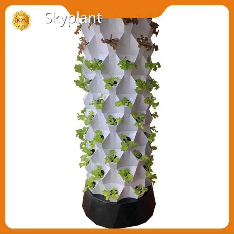 Hydroponic Growth Solution by Skyplant-1 1