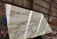 Super Stone Black and White Marble Slab 4