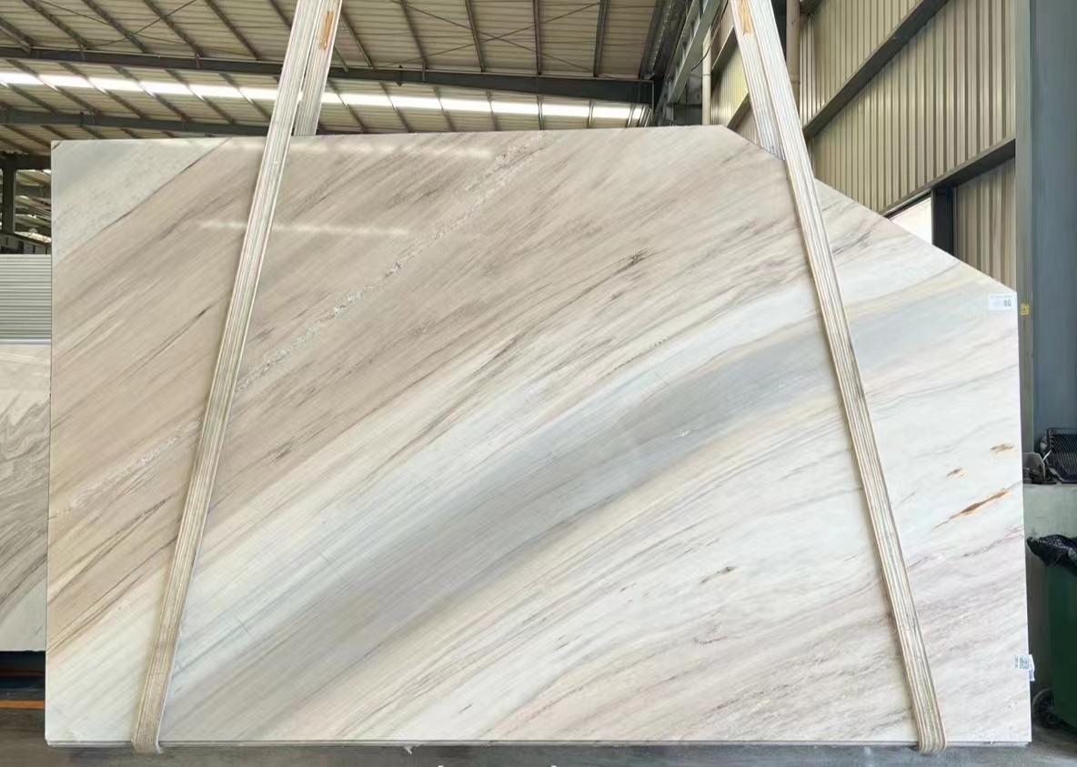 Piedras de lujo italianas de losa de mármol blanco de Palissandro para el diseño de la cocina 4