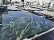 Super Stone Brand Marble Slab Manufacturer Supplier-1 4