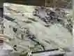 Marble Slab Supplier Super Stone Brand 8