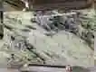 Marble Slab Supplier Super Stone Brand 5