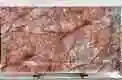 Super Stone Brand Arabescato Marble Slab Supplier 2