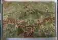 Super Stone Onyx Slabs 5