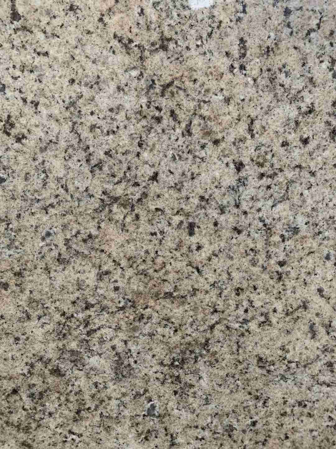 Dalle de granit plantain doré pour carreaux de cour 1