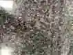 Granite Slab Super Stone Brand 6