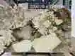 Quartzite Slabs for Sale - - Super Stone 5