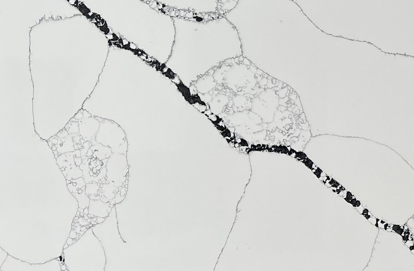 6527 Dalle de pierre de quartz Calacatta blanc 6