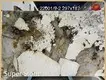 Quartzite Slabs for Sale - - Super Stone 1