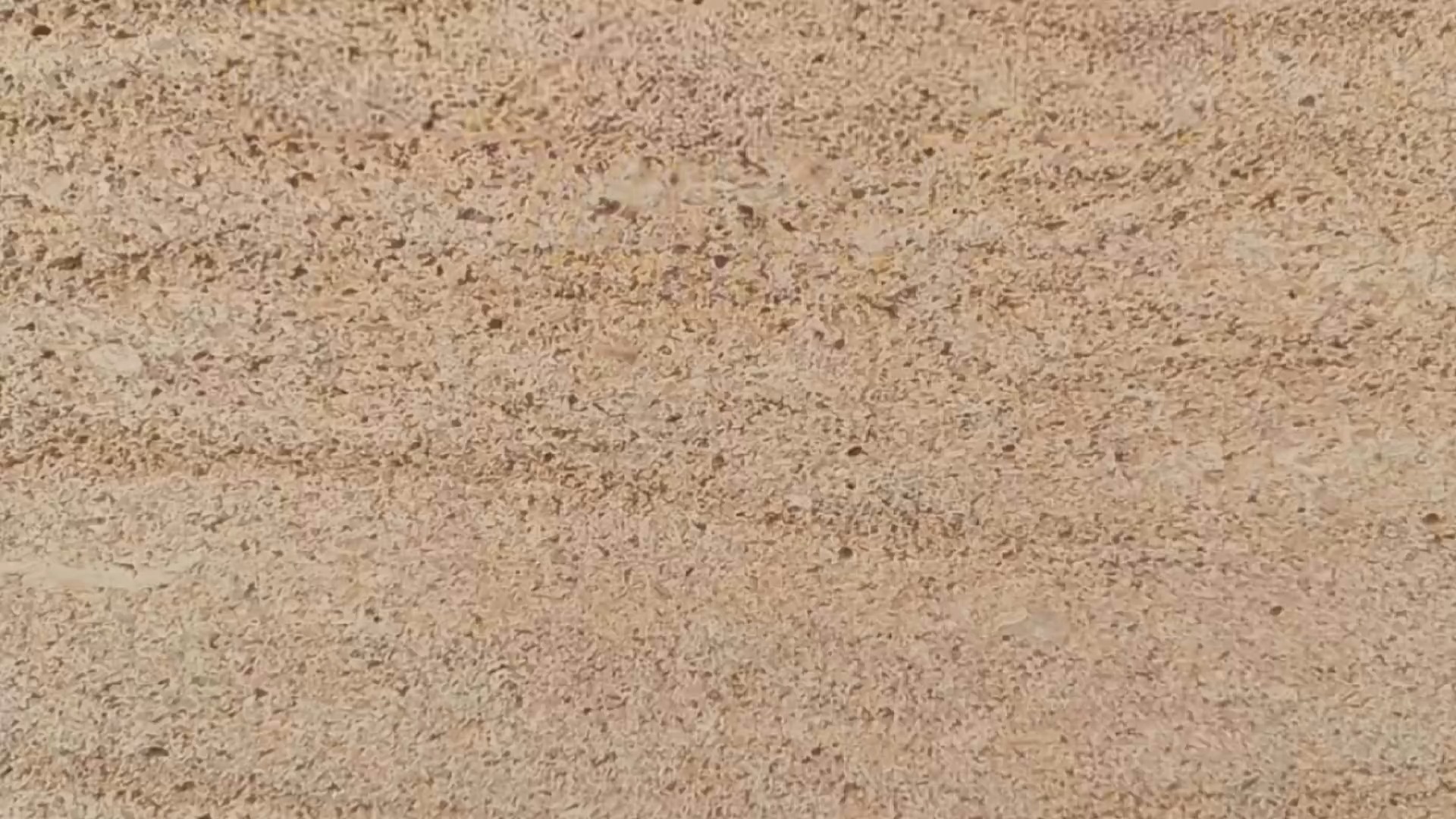 الحجر الرملي البيج الإسباني لتكسية الجدران 1