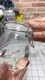 Rubber Seals for Storage Jars Bulk Buy Guzhan 1