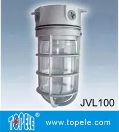 100W 220V Brozen, Gray IP65 Die-Cast Aluminum  Vapor Proof Lights, Led Flood Lights 1