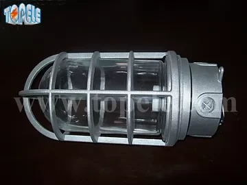 100W 220V Brozen Gray IP65  Vapor Proof Lights Die - Cast Aluminum 1