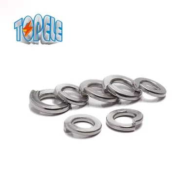 Regular Steel Zinc Finish SS316 Split Lock Washer 1